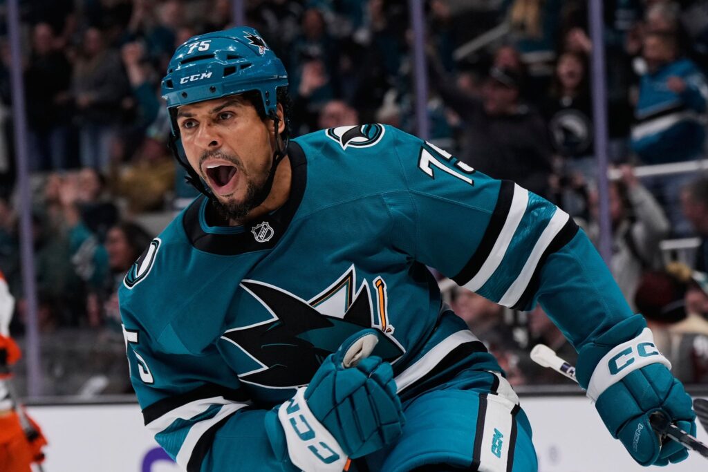 Enforcer Ryan Reaves says he is retiring, leaving the NHL with three visor-less players - Jacksonville Journal-Courier