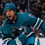 Enforcer Ryan Reaves says he is retiring, leaving the NHL with three visor-less players - Jacksonville Journal-Courier