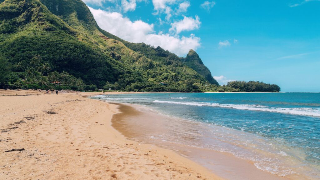 Kauai Surf Forecast for September 09, 2026 - Kauai Now