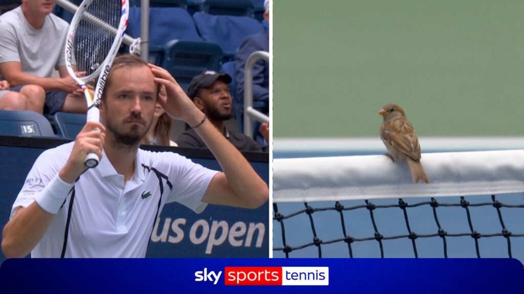 US Open: Daniil Medvedev fumes as birds halt play! - Sky Sports