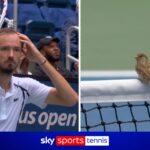 US Open: Daniil Medvedev fumes as birds halt play! - Sky Sports
