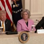 White House chief of staff Susie Wiles says she is cancer-free - WHDH