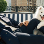 Travis Kelce Stars in Tommy Hilfiger's New Campaign Alongside His Dog with Taylor Swift (& Lots of Other Celeb Guests)! - Just Jared