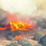 Here's what started the Ross Fire in Palo Pinto County - CBS News