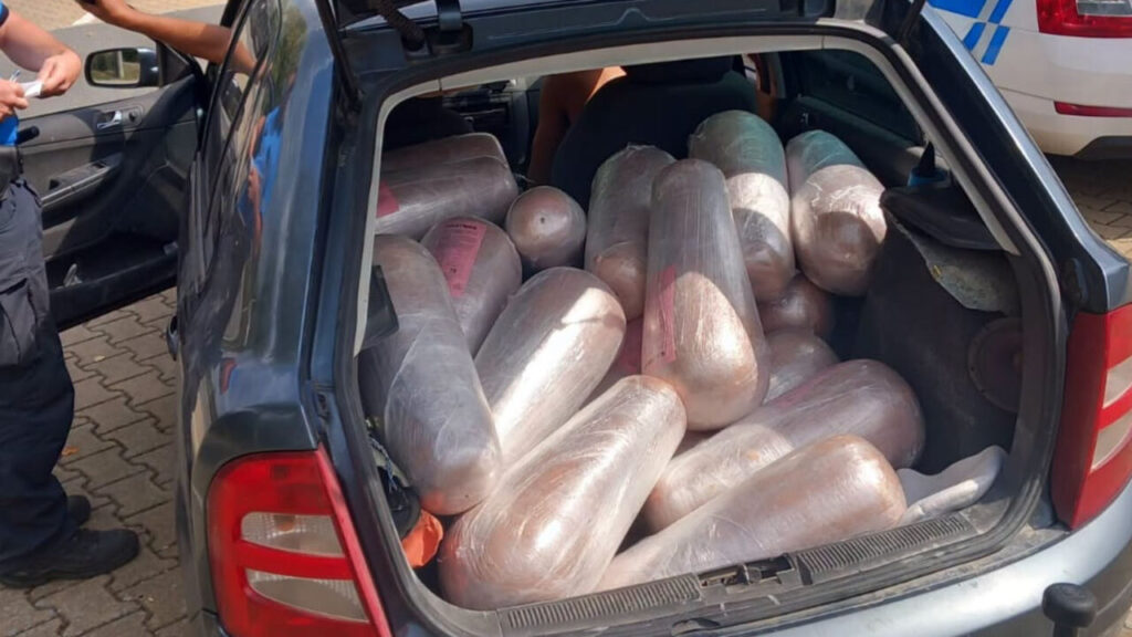 Doner disaster: 635kg of kebab meat hauled across Czechia without refrigeration - TVP World
