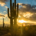 MOST ACCURATE FORECAST: Extreme Heat Warnings Tuesday through Thursday - ABC15 Arizona