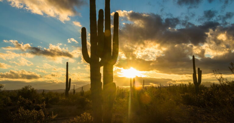 MOST ACCURATE FORECAST: Extreme Heat Warnings Tuesday through Thursday - ABC15 Arizona