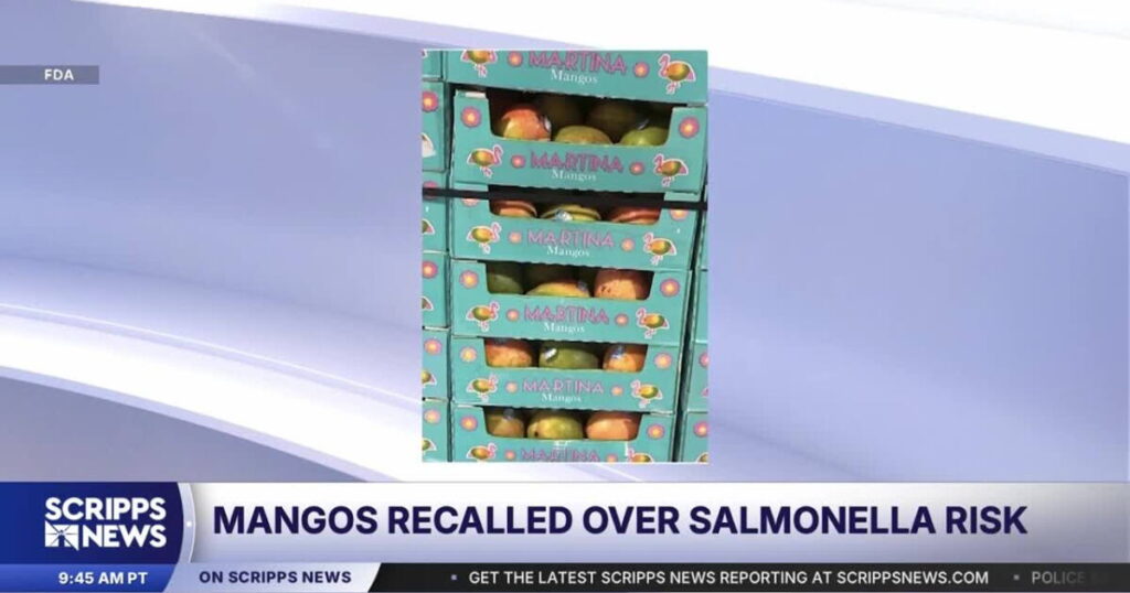 Mangos recalled over salmonella risk - KTVQ