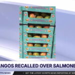Mangos recalled over salmonella risk - KTVQ