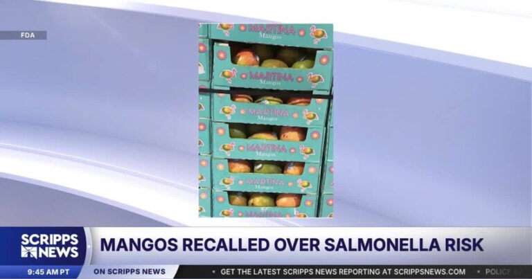 Mangos recalled over salmonella risk - KTVQ
