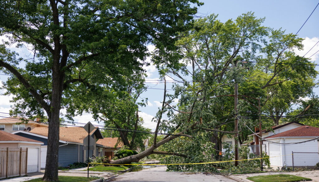 ComEd customers pay billions to keep the lights on during storms. Will it be enough? - WBEZ Chicago
