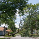 ComEd customers pay billions to keep the lights on during storms. Will it be enough? - WBEZ Chicago