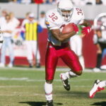 Former NFL player LeShon Johnson sentenced to five years in prison for dog fighting - NBC Sports