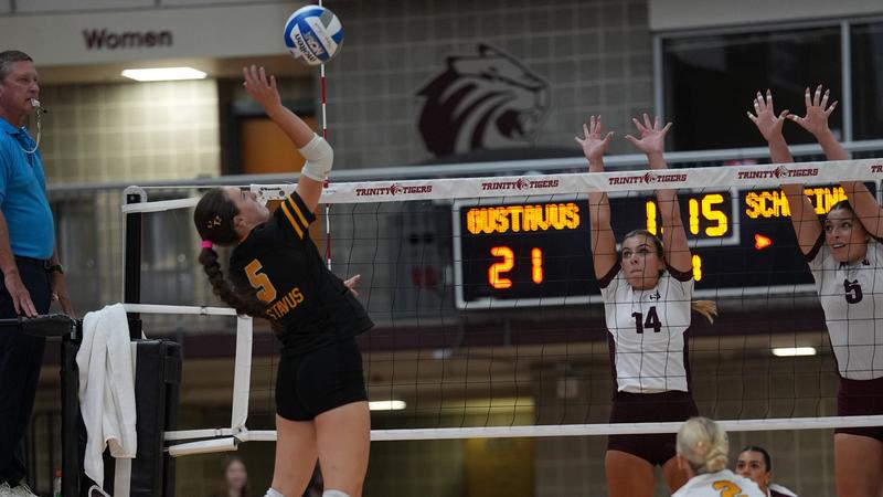 Volleyball Takes Down Cornell, Falls to Hope at Triangular - gogusties.com