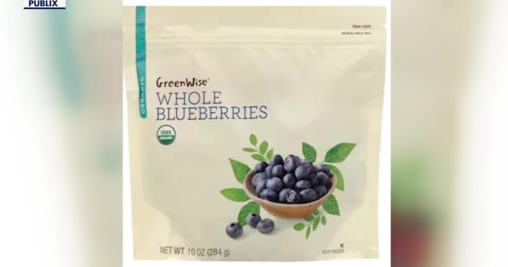 Florida woman died after eating E coli-tainted frozen blueberries from Publix, lawsuit alleges - FOX 13 Tampa Bay
