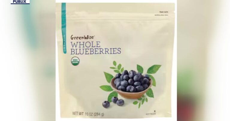 Florida woman died after eating E coli-tainted frozen blueberries from Publix, lawsuit alleges - FOX 13 Tampa Bay