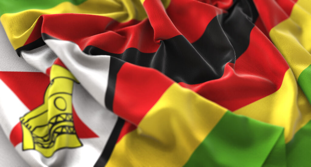 Zimbabwe expands ICT skills support for teachers with visual impairments - Digital Watch Observatory
