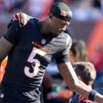 Is Tee Higgins Playing Today? (Injury Update, Betting Impact for Bengals vs. Dolphins in NFL Week 5) - Sports Illustrated