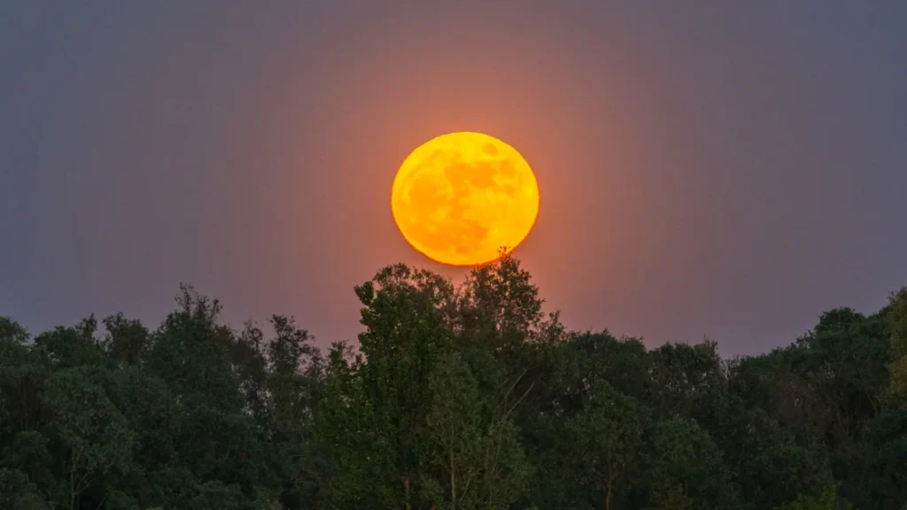 Where & When To See October's Glowing Hunter's Full Moon Rise In Australia - ELLE Australia
