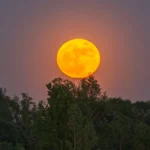 Where & When To See October's Glowing Hunter's Full Moon Rise In Australia - ELLE Australia