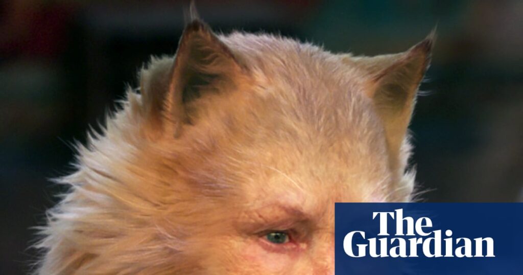 ‘Oh God, I can’t bear it’: Judi Dench says Cats film was ‘a waste of goodwill and talent’ - The Guardian