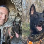 Major the Belgian Malinois faces death as owner has only days to convince judge to spare service dog from euthanasia - New York Post