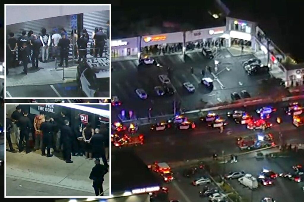 At least 2 dead, dozens detained after shooting at strip mall near LA university - New York Post