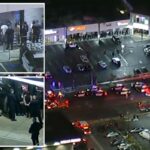 At least 2 dead, dozens detained after shooting at strip mall near LA university - New York Post