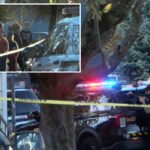 Multiple people, including 2 children, dead in suspected murder-suicide at Pennsylvania home - New York Post