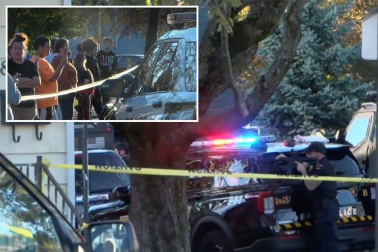 Multiple people, including 2 children, dead in suspected murder-suicide at Pennsylvania home - New York Post