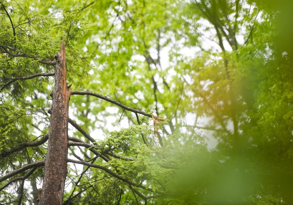 Wind advisory posted for southwestern Pa. beginning Saturday night - Pittsburgh Post-Gazette