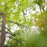 Wind advisory posted for southwestern Pa. beginning Saturday night - Pittsburgh Post-Gazette