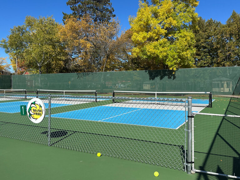 Pickleball courts, finance help surface as city holds budget workshops - Northwoods Star Journal