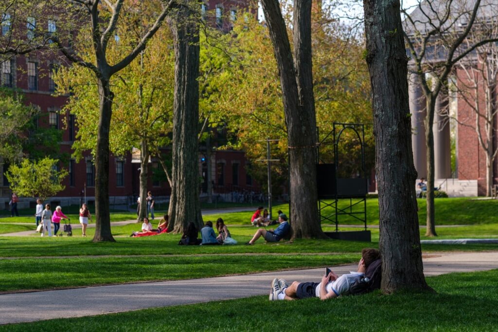 AI Isn’t the Problem. We Are. - The Harvard Crimson