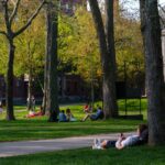 AI Isn’t the Problem. We Are. - The Harvard Crimson