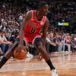 Caleb Wilson's Final Box Score Stats, Highlights from Bulls vs. Nuggets Preseason - Bleacher Report