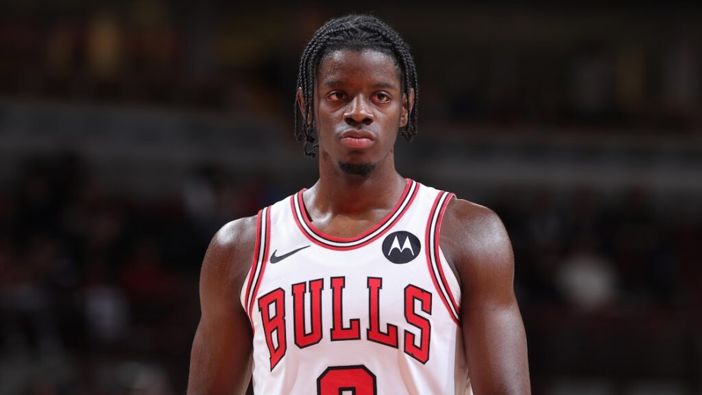 Caleb Wilson's Final Box Score Stats, Highlights from Wolves vs. Bulls Preseason - Bleacher Report