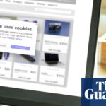 Cookie theft: how fraudsters get the digital key to your accounts - The Guardian