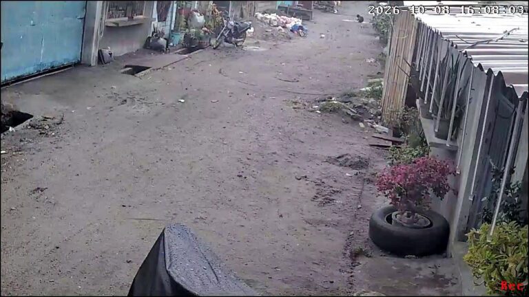 GMA News. . WATCH: A magnitude 6.4 earthquake was felt by residents of Brgy. Fatima, General Santos City this afternoon, Oct. 8, 2026. The strong ground shaking was captured on CCTV. According to the uploader, no damage or other incidents were report - Facebook