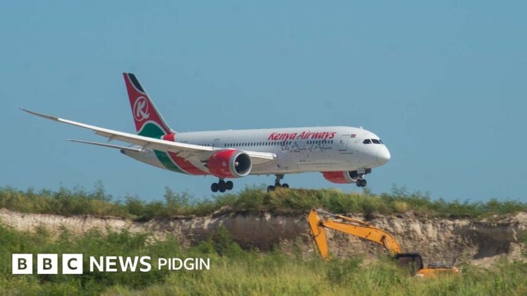 Kenya Airways video: Airline confam say passenger die for dia flight from Nairobi to Lagos - BBC