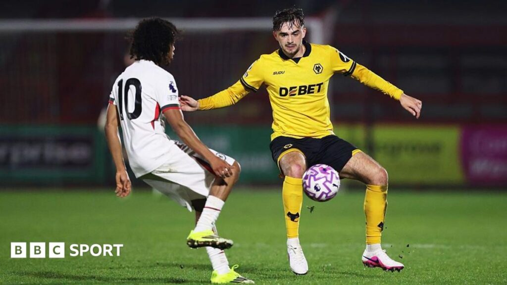 Worthing sign ex-Man City and Wolves youngster Harvey Griffiths - BBC