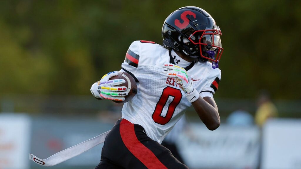 MHSAA high school football: See Greater Lansing's top Week 8 performers - Lansing State Journal