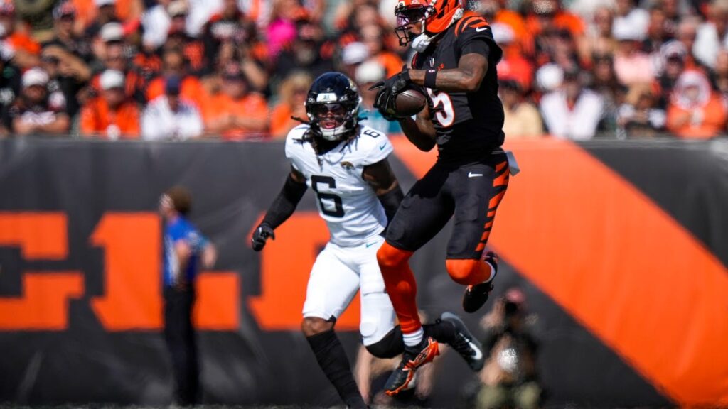 Bengals receiver Tee Higgins injured vs Jaguars in NFL Week 4 - Cincinnati Enquirer