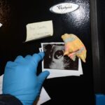 Did Farwell know he was not the father of Birchmore's unborn child? - Cape Cod Times