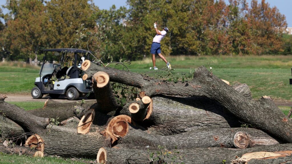 Judge scrutinizes Trump's DC golf overhaul as he calls her 'crazed lunatic' - USA Today