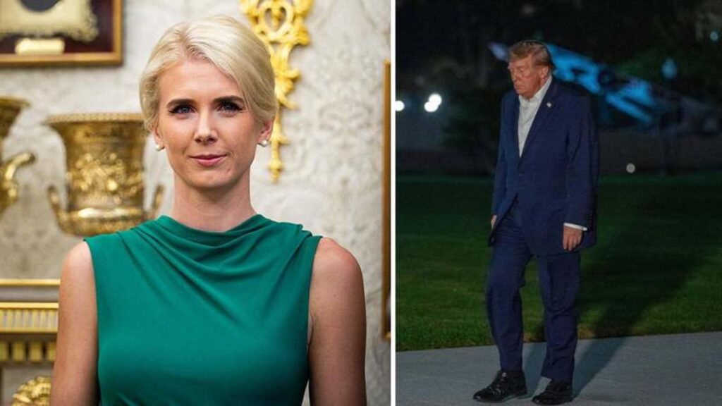 Donald Trump Freezes Outside White House to Watch Assistant Natalie Harp Step Off Marine One - AOL.com