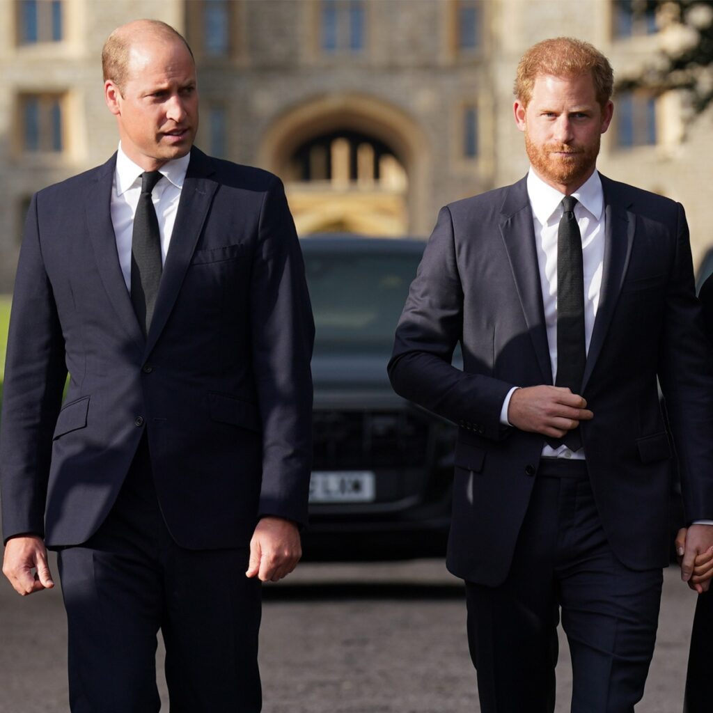 Prince Harry Admits He’s Grieving Broken Relationships With Prince William and King Charles - E! News