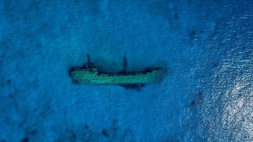 Archaeologists Uncovered a 150-Year-Old Shipwreck That May Have Belonged to Stranded Penguin Hunters - VICE