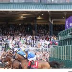 What to Know About the 2026 Breeders’ Cup Championship Saturday Races - America's Best Racing