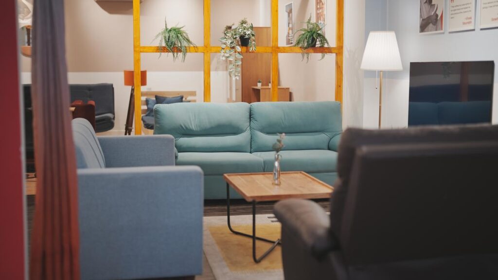 Furniture rental in India: why young Indians are choosing to rent - The Hindu